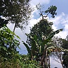 ve_63636