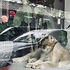 user_15852