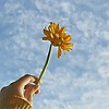 airenislam_99585