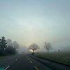 arlin_95031