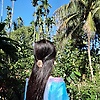 taz_49163