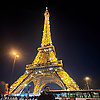 dawoodibra_17167