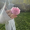 user_250161