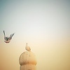 ayaan_84613