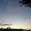 monkey_88236