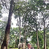 ramaaul
