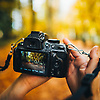 ali_50655