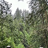 theyadem_41172