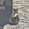 mimi_47254