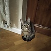 Khalida_21