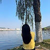 molly_27685