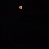 lee_50903