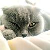 kateryna_69884
