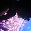 el_68800