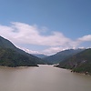alp_36911