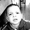 Ferreirax_