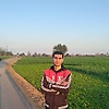 Arbom
