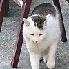 amy_43909