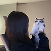 ella_40438