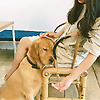 sunny_30920