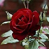 gl_76761
