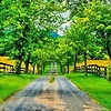 isla_49049