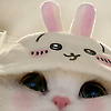 sariel_35599