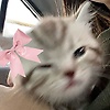 benthe_40942