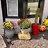 alex_755840