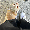 jj_55532