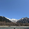 rino_61875
