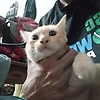muhtasin_79288