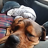 james_14429