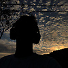 hamid_68131