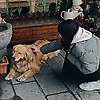 wei_11950