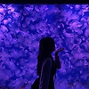 kelly_27019