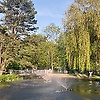 maria_80990