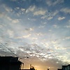 dewiftmz_15889