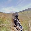 aio_73530
