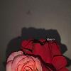 lavi_71379