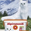 Katzenmeister