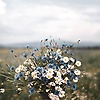 aisana_74750