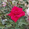sadiqq_55855