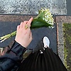 ema_12999