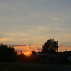 honey_45956