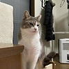 max_42990