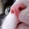 hello_my_world