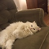 tyinjn_54966