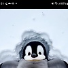 rashad_90479