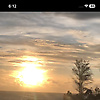 ranim_36860